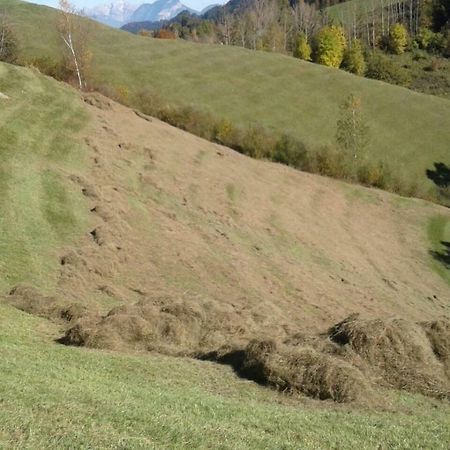 Pulvererhof Kramsach Luaran gambar
